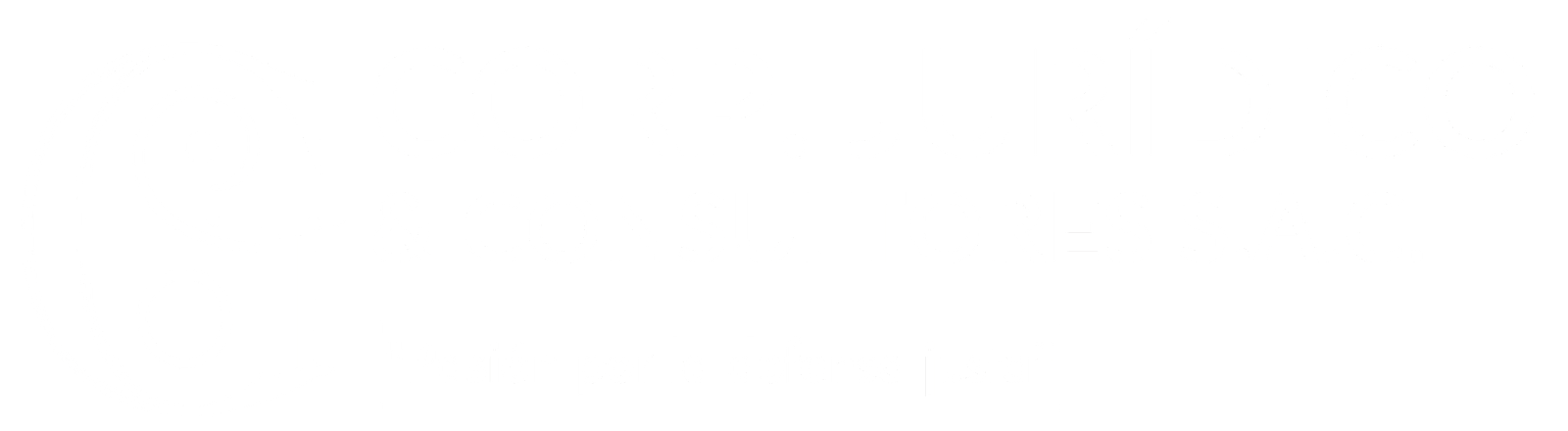 Corp Juridico GS & Consultores